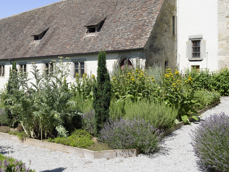 Der Heilkräutergarten in Blüte